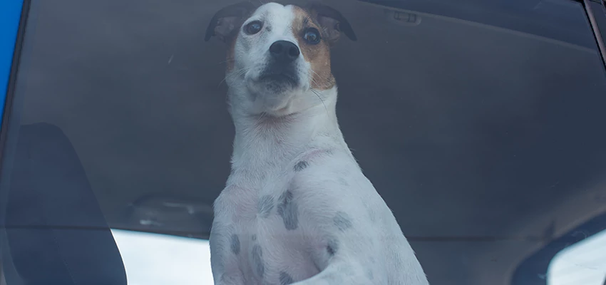 Car Lockout Solutions in Midway City, California